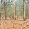 Listing Photo 274000