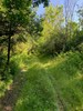 Listing Photo 274797