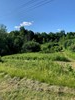 Listing Photo 274798