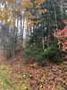 Listing Photo 276824