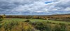 Listing Photo 278004