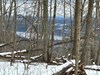 Listing Photo 278163