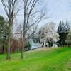 Listing Photo 278232