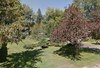 Listing Photo 278424